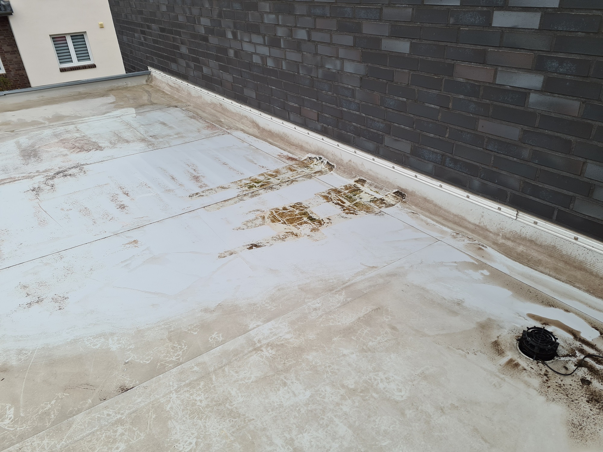 signs-that-it’s-time-for-a-flat-roof-replacement